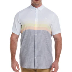 Big & Tall Engineered Stripe Shirt