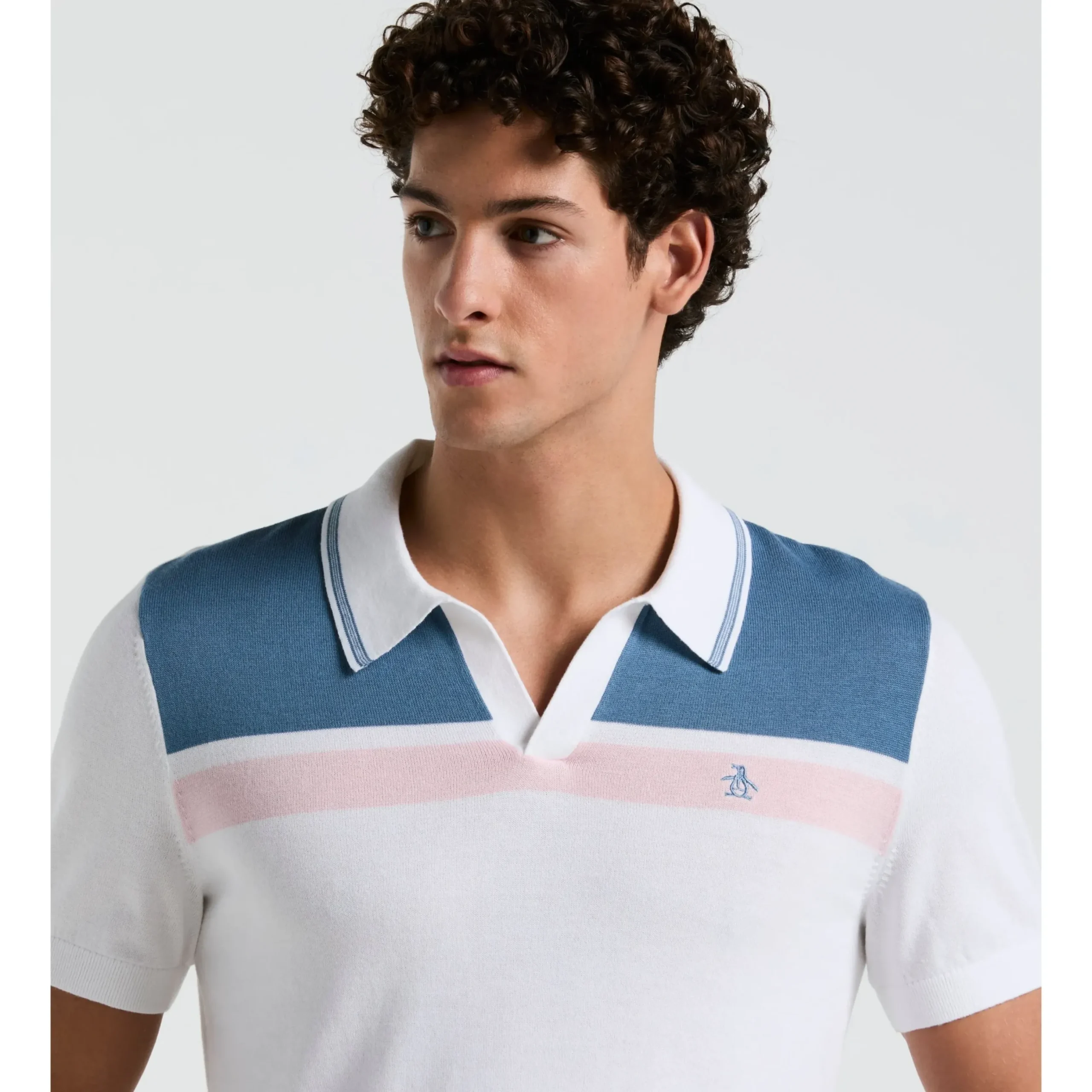 Cotton Jersey Stripe Sweater Polo