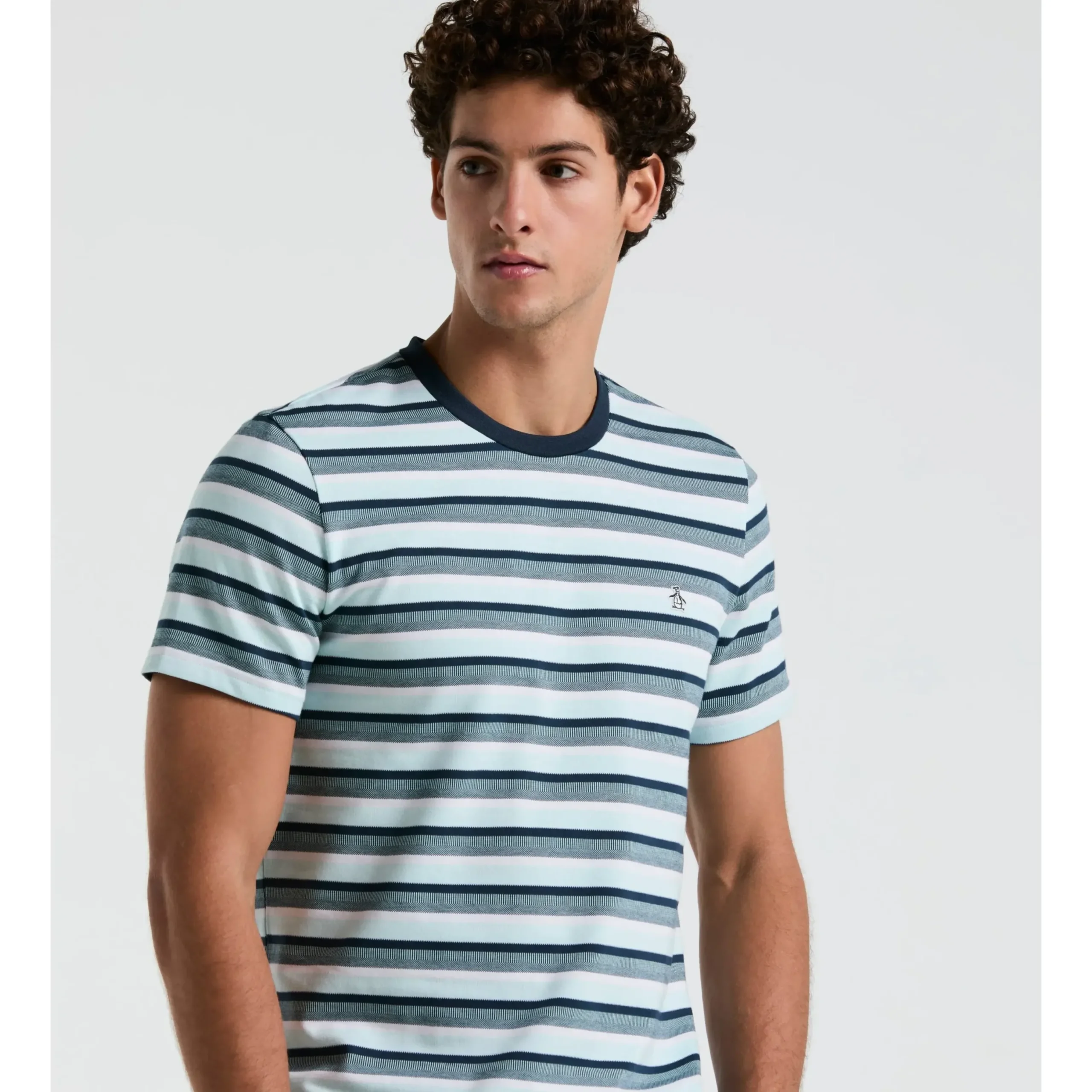 Jacquard Stripe Tee